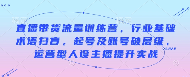 直播带货流量训练营，行业基础术语扫盲，起号及账号破层级，运营型人设主播提升实战-点子口袋网