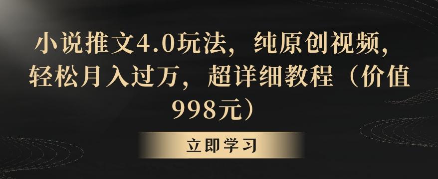 小说推文4.0玩法，纯原创视频，轻松月入过万，超详细教程(价值998元)【揭秘】-点子口袋网