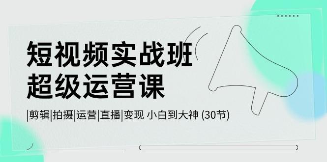 短视频实战班超级运营课 |剪辑|拍摄|运营|直播|变现 小白到大神 (30节)-点子口袋网