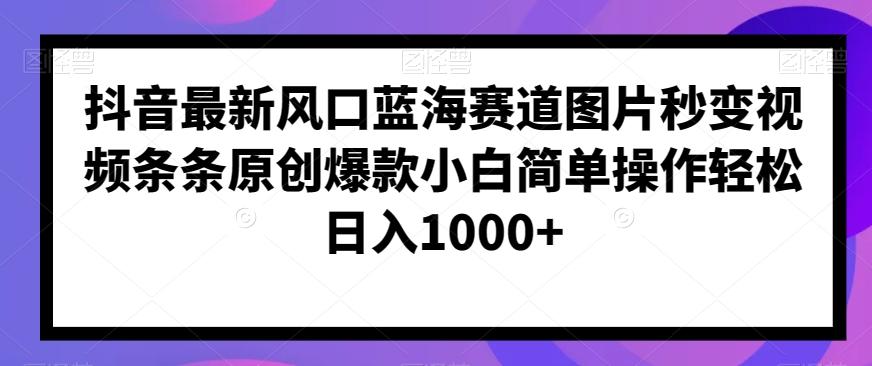 抖音最新风口蓝海赛道图片秒变视频条条原创爆款小白简单操作轻松日入1000+-点子口袋网