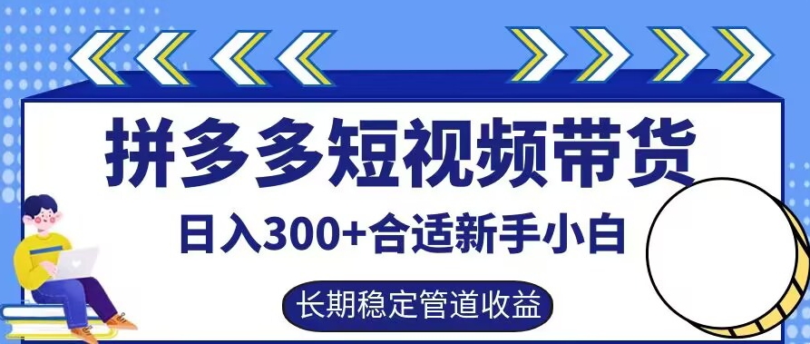 拼多多短视频带货日入300+有长期稳定被动收益，合适新手小白【揭秘】-点子口袋网