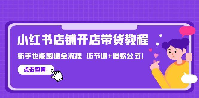 (9883期)最新小红书店铺开店带货教程，新手也能跑通全流程(6节课+爆款公式)-点子口袋网