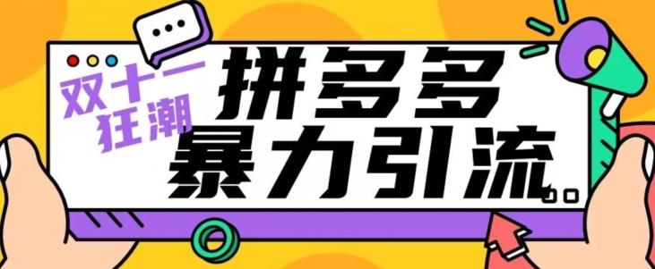 【首发】双十一拼多多暴力引流，日引300+微信-点子口袋网