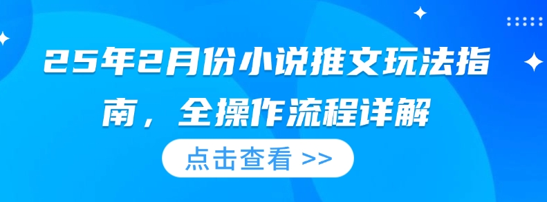 25年2月份小说推文玩法指南，全操作流程详解-点子口袋网
