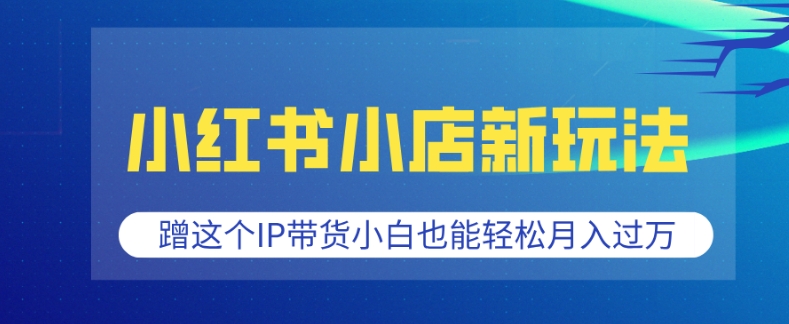 小红书小店新玩法，蹭这个IP带货，小白也能轻松月入过W【揭秘】-点子口袋网