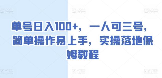 单号日入100+，一人可三号，简单操作易上手，实操落地保姆教程【揭秘】-点子口袋网