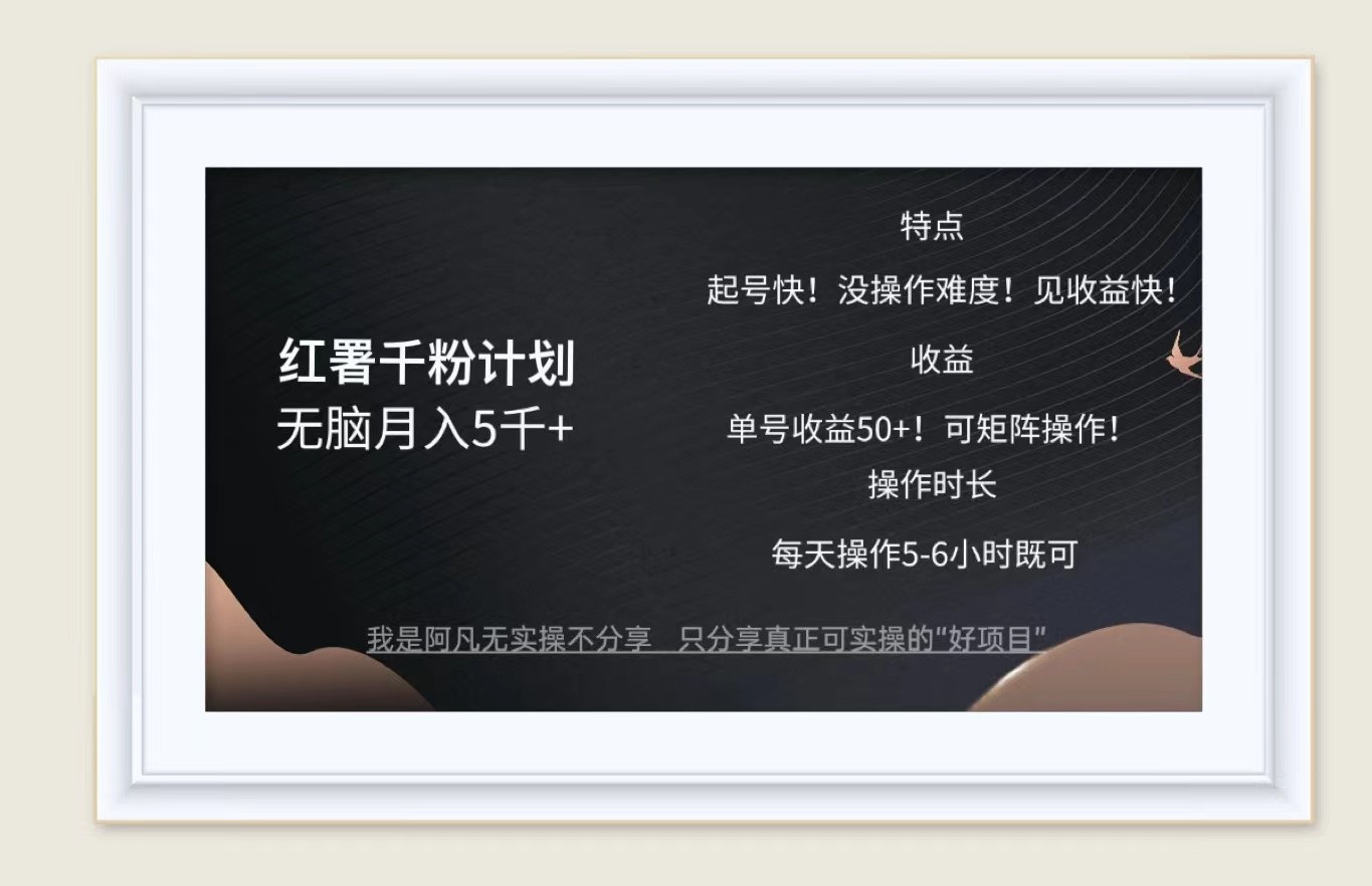 红薯千粉计划无脑月入5千+！既做既赚！-点子口袋网