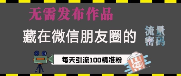 藏在微信朋友圈的流量密码，无需发布作品，单日引流100+精准创业粉【揭秘】-点子口袋网