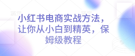 小红书电商实战方法，让你从小白到精英，保姆级教程-点子口袋网