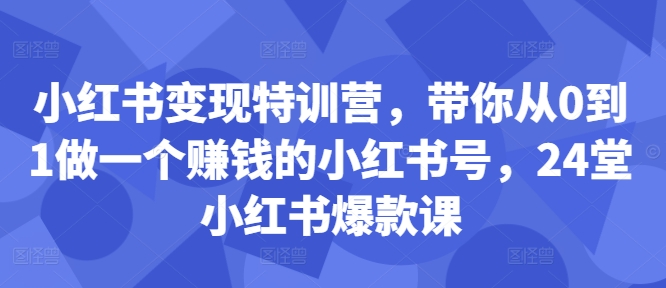 小红书变现特训营，带你从0到1做一个赚钱的小红书号，24堂小红书爆款课-点子口袋网