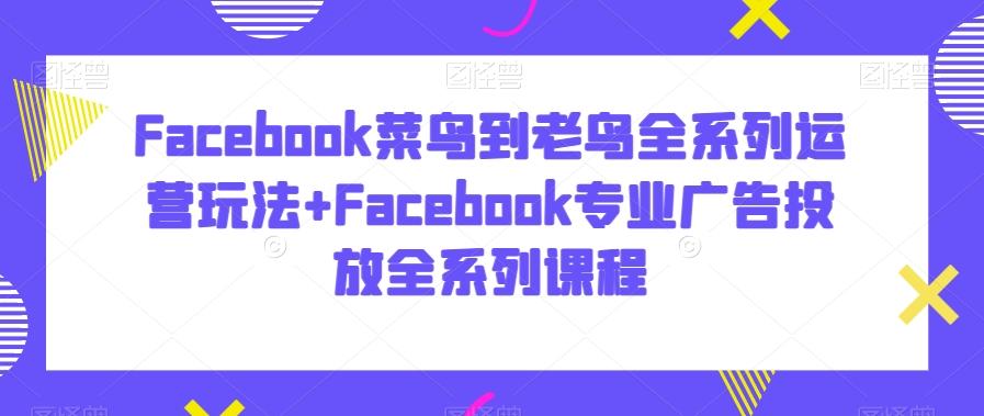 Facebook菜鸟到老鸟全系列运营玩法+Facebook专业广告投放全系列课程-点子口袋网