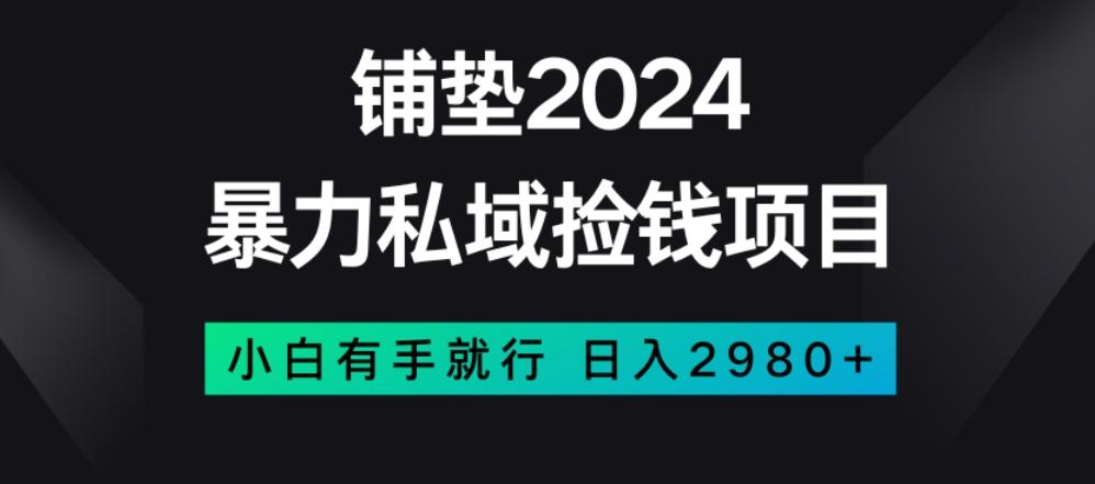 暴力私域捡钱项目，小白无脑操作，日入2980【揭秘】-点子口袋网
