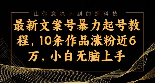 最新文案号暴力起号教程，10条作品涨粉近6万，小白无脑上手-点子口袋网