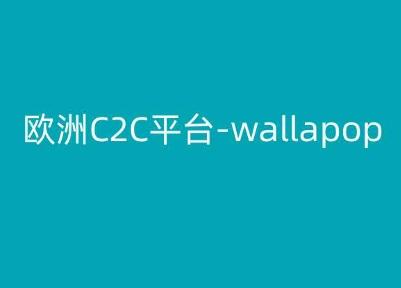 欧洲C2C平台-wallapop-kim跨境电商教程-点子口袋网