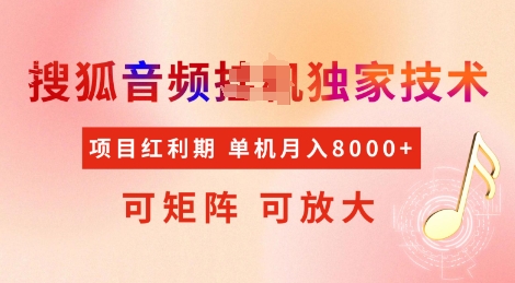 全网首发搜狐音频挂JI独家技术，项目红利期，可矩阵可放大，稳定月入8k【揭秘】-点子口袋网