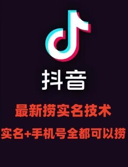 最新技术抖音捞实名+捞手机号技术，抖音直播封禁释放十名/手机号，直接替换出来!-点子口袋网