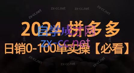 恒哥·2024拼多多日销0-100单实操-点子口袋网