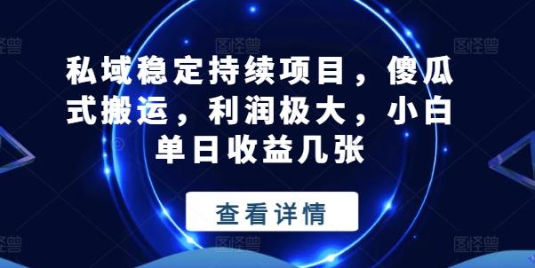 私域稳定持续项目，傻瓜式搬运，利润极大，小白单日收益几张【揭秘】-点子口袋网