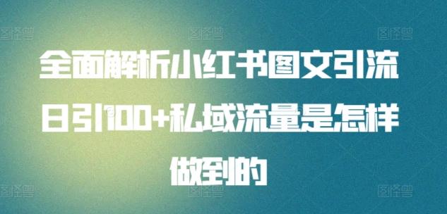 全面解析小红书图文引流日引100+私域流量是怎样做到的【揭秘】-点子口袋网