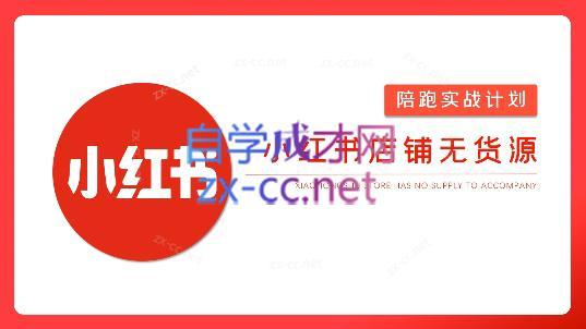 安琪·小红书店铺无货源-点子口袋网