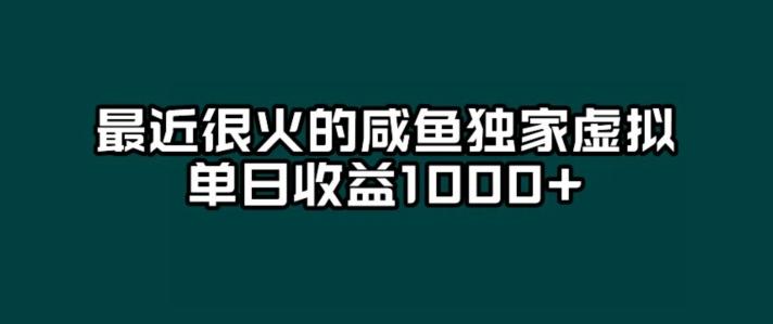 最近很火的咸鱼独家虚拟，单日收益1000+-点子口袋网