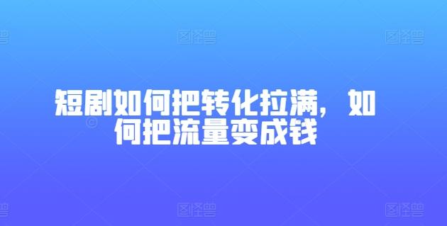 短剧如何把转化拉满，如何把流量变成钱-点子口袋网