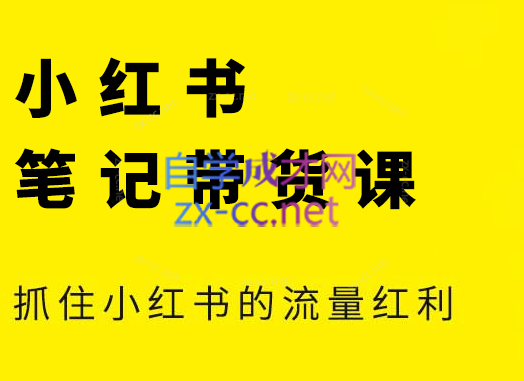 张宾·小红书笔记带货课(更新24年7月)-点子口袋网
