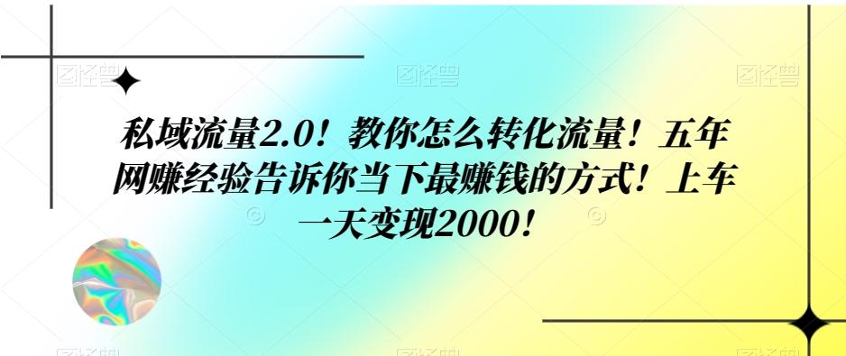 私域流量2.0！教你怎么转化流量！五年网赚经验告诉你当下最赚钱的方式！上车一天变现2000！-点子口袋网