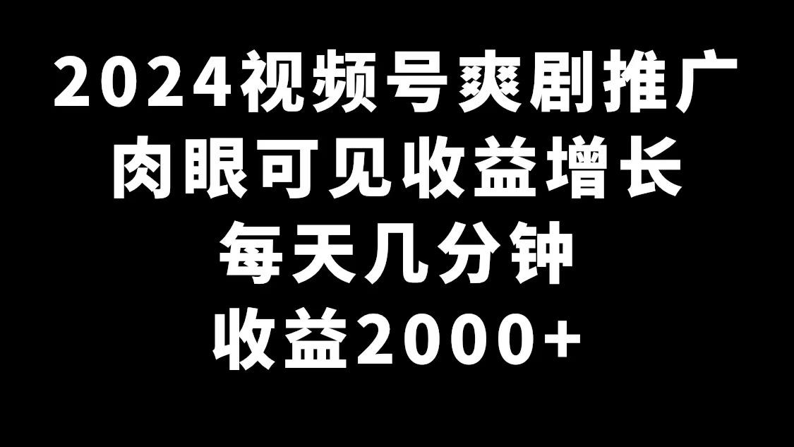 2024视频号爽剧推广，肉眼可见的收益增长，每天几分钟收益2000+-点子口袋网