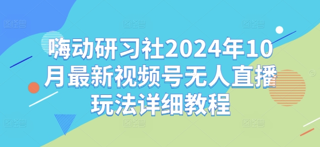 嗨动研习社2024年10月最新视频号无人直播玩法详细教程-点子口袋网