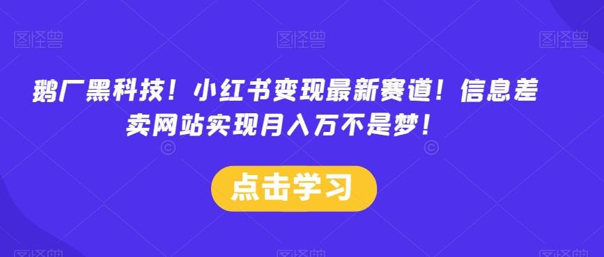 鹅厂黑科技！小红书变现最新赛道！信息差卖网站实现月入万不是梦！-点子口袋网