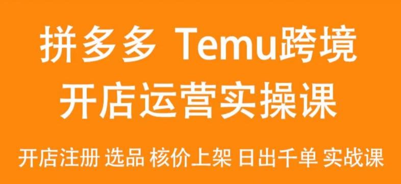 2024Temu最新玩法，Temu跨境开店运营实操课，开店注册/选品/核价上架/日出千单实战课-点子口袋网