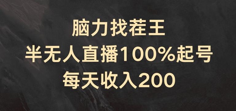 脑力找茬王，半无人直播100%起号，每天收入200+【揭秘】-点子口袋网