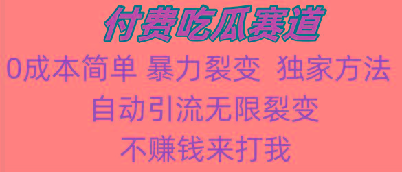吃瓜付费赛道，暴力无限裂变，0成本，实测日入700+！！！-点子口袋网