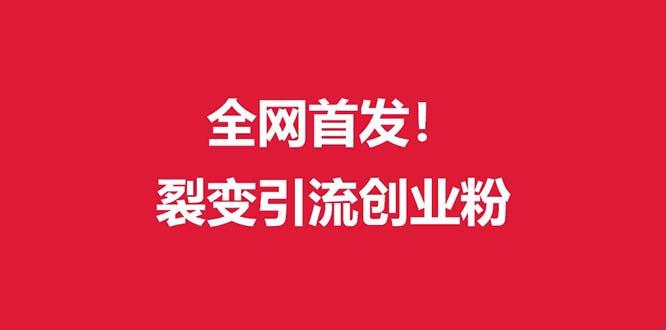 (全网首发)外面收费几千的裂变引流高质量创业粉-点子口袋网