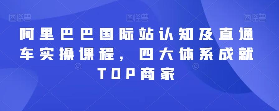 阿里巴巴国际站认知及直通车实操课程，四大体系成就TOP商家-点子口袋网