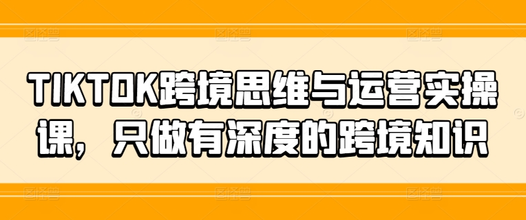TIKTOK跨境思维与运营实操课，只做有深度的跨境知识-点子口袋网