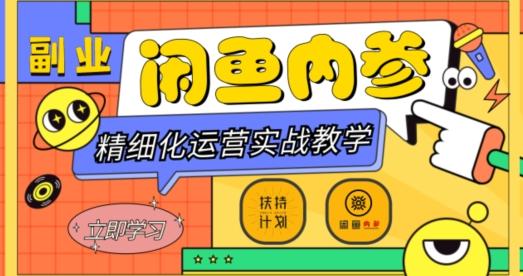 闲鱼精细化运营入门+高阶实战教学，从底层逻辑到轻松变现，多维度玩转闲鱼副业-点子口袋网