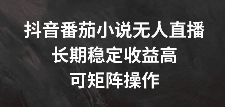 抖音番茄小说无人直播，长期稳定收益高，可矩阵操作【揭秘】-点子口袋网