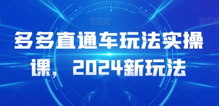多多直通车玩法实操课，2024新玩法-点子口袋网