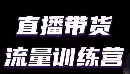 直播带货流量训练营，小白主播必学直播课-点子口袋网