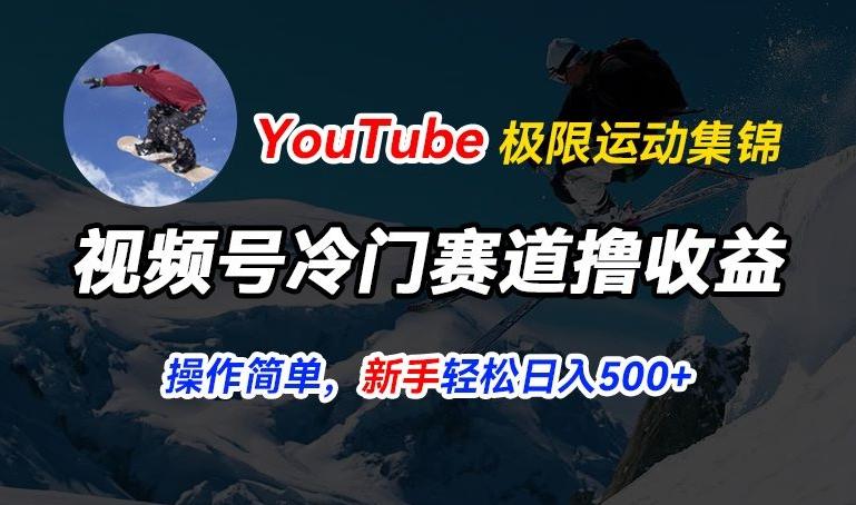 视频号冷门赛道撸收益，YouTube搬运极限运动集锦，暴力起号，操作简单流量高，轻松日入5张【揭秘】-点子口袋网