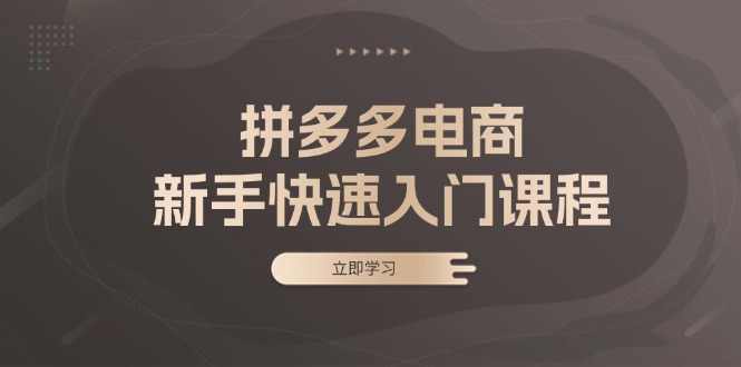 拼多多电商新手快速入门课程：涵盖基础、实战与选款，助力小白轻松上手-点子口袋网