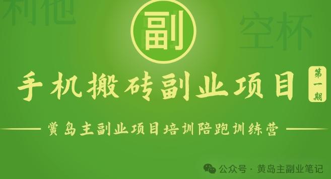 手机搬砖小副业项目训练营1.0，实测1小时收益50+，一部手机轻松日入100+-点子口袋网
