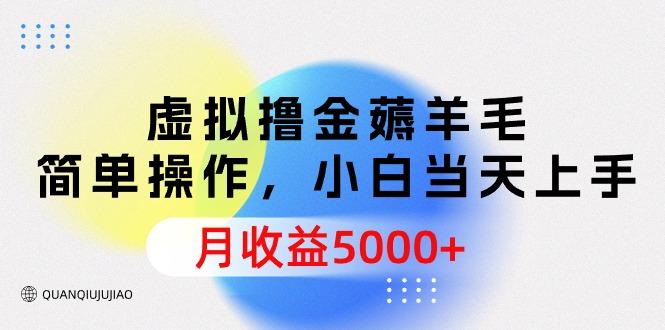 (9864期)虚拟撸金薅羊毛，简单操作，小白当天上手，月收益5000+-点子口袋网