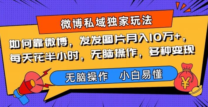 如何靠微博，发发图片月入10万+，‌每天花半小时，无脑操作，多种变现-点子口袋网