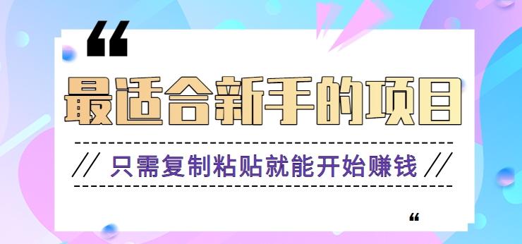 2024最适合新手操作的项目，新手小白只需复制粘贴就能开始赚钱【视频教程+软件】-点子口袋网