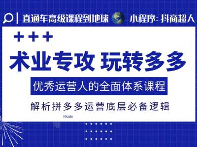 术业专攻玩转多多，优秀运营人的全面体系课程，解析拼多多运营底层必备逻辑-点子口袋网