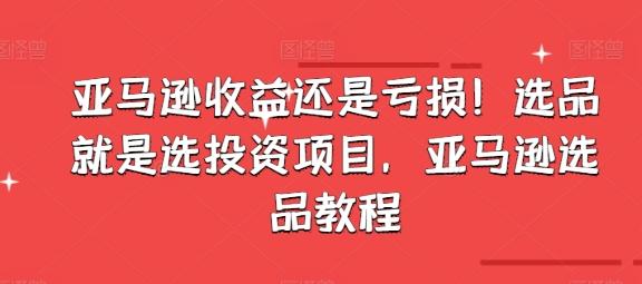 亚马逊收益还是亏损！选品就是选投资项目，亚马逊选品教程-点子口袋网