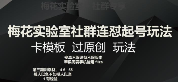 梅花实验室社群连怼起号玩法，卡模板过原创玩法【揭秘】-点子口袋网